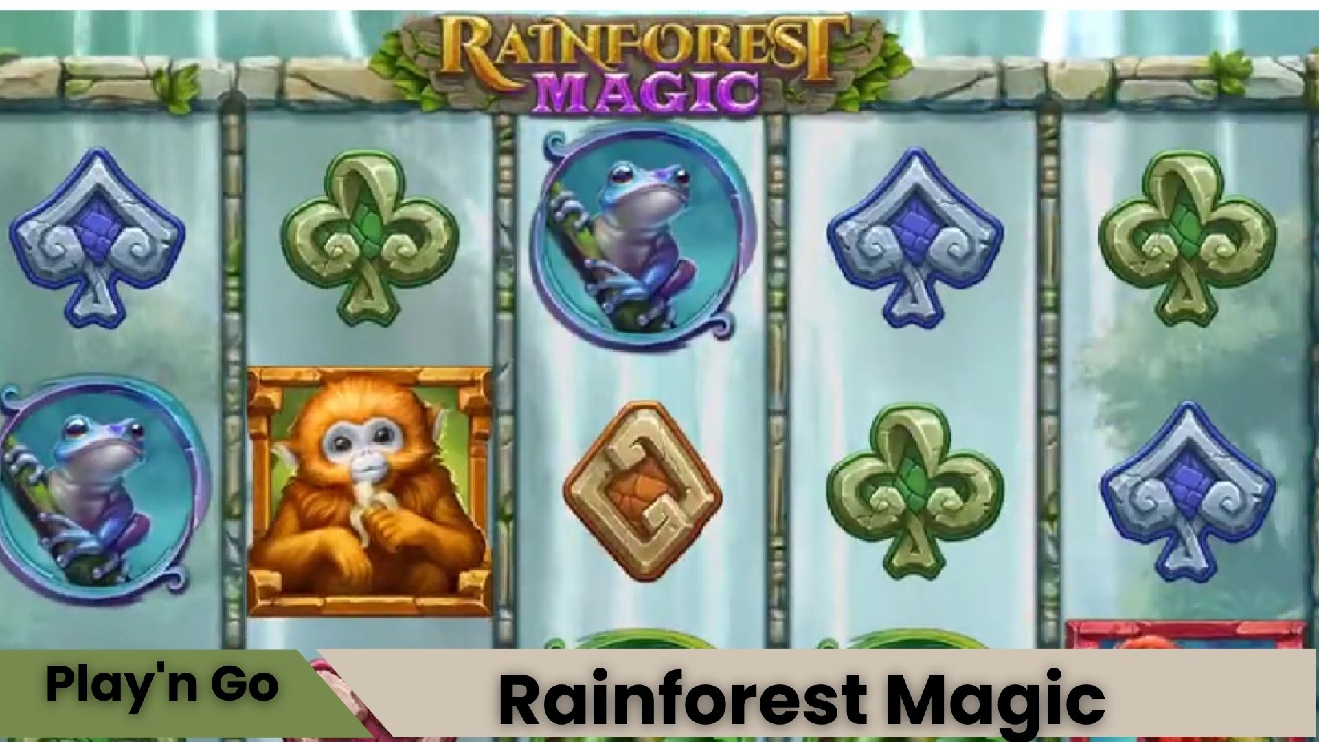 Rainforest Magic Oyna