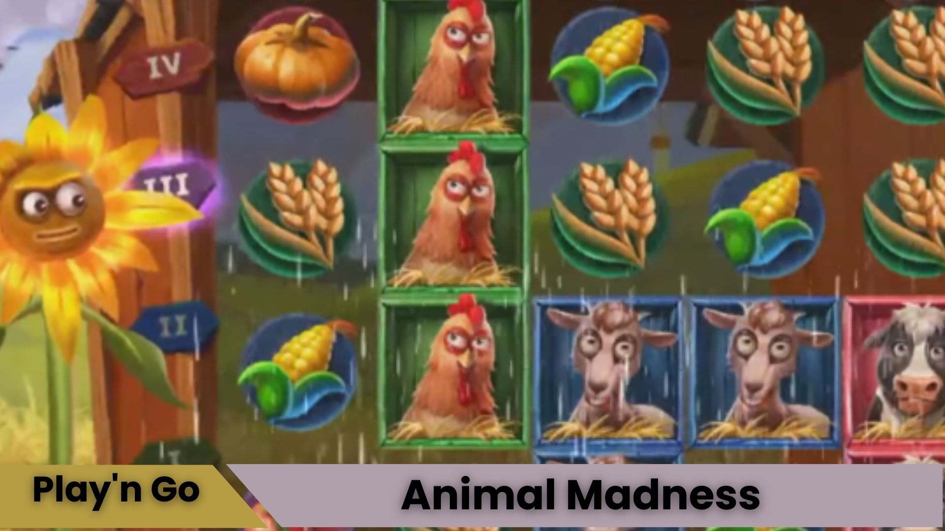 Animal Madness Oyna