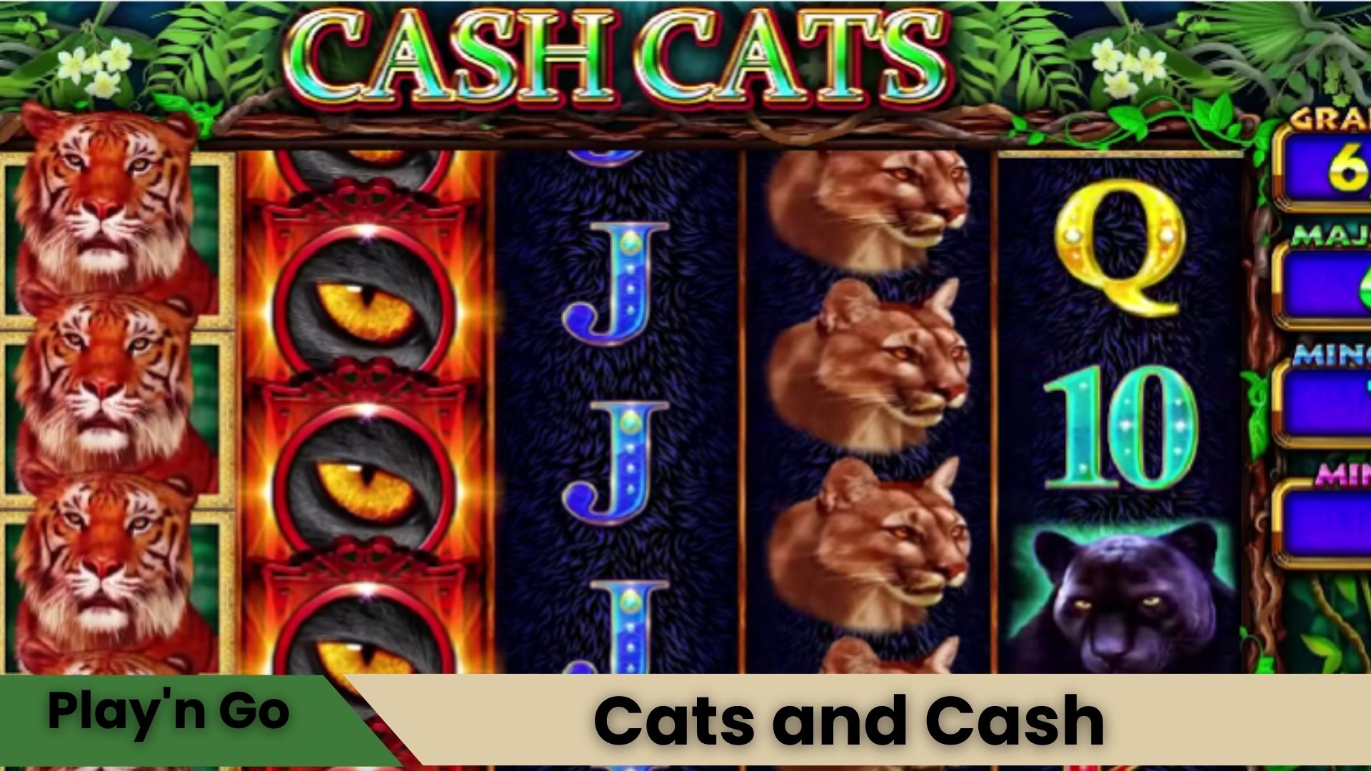 Cats and Cash Oyna