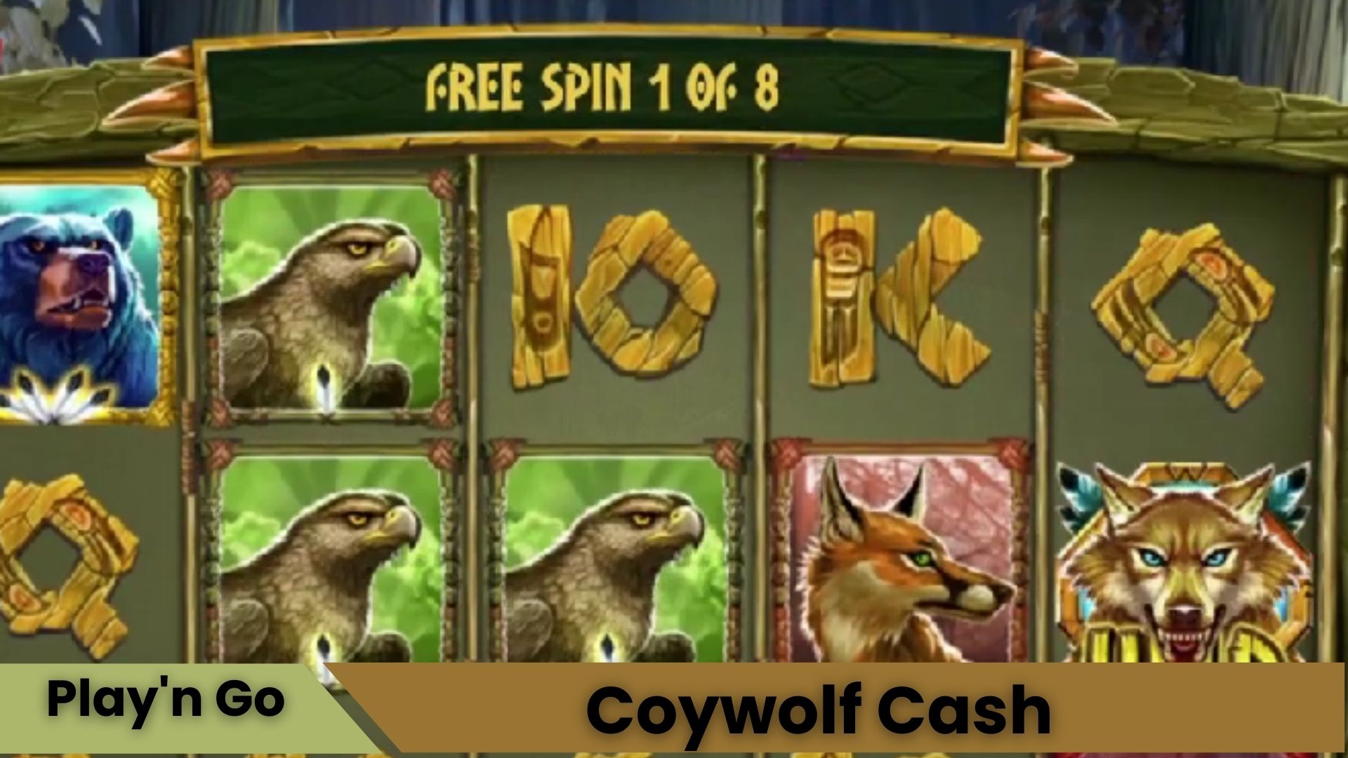 Coywolf Cash Oyna