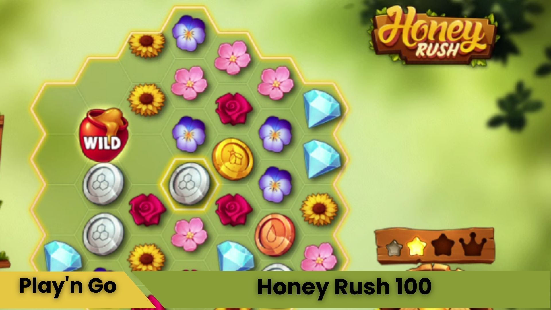 Honey Rush 100 Oyna