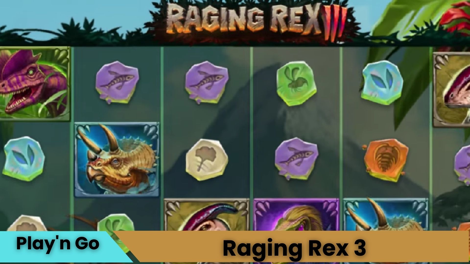 Raging Rex Oyna