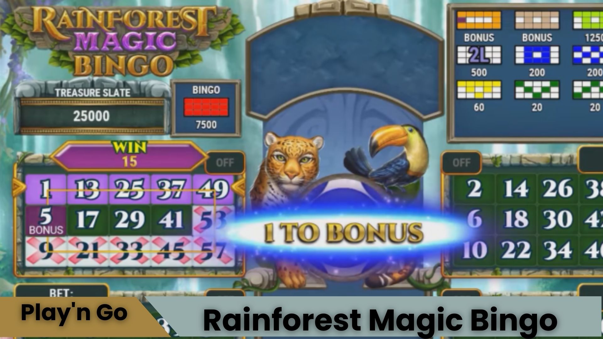 Rainforest Magic Bingo Oyna