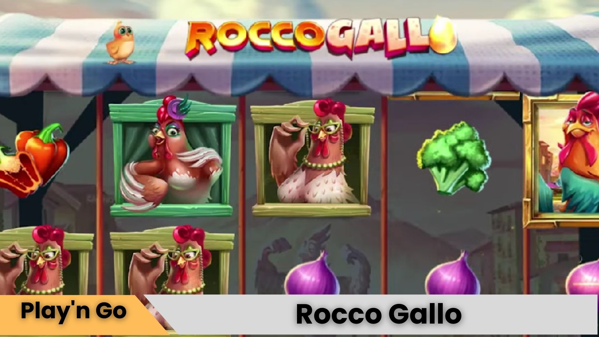 Rocco Gallo Oyna