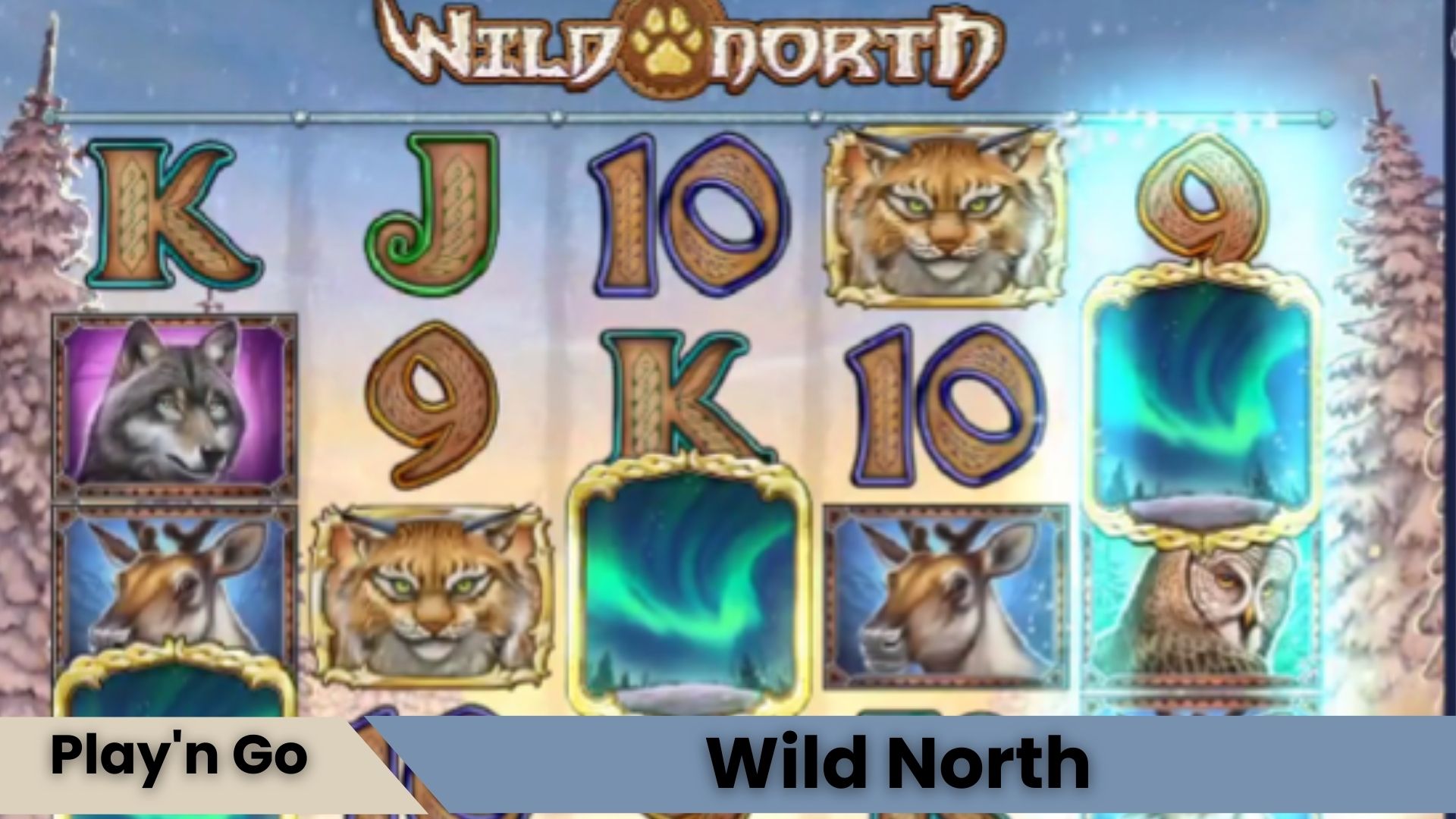 Wild North Oyna