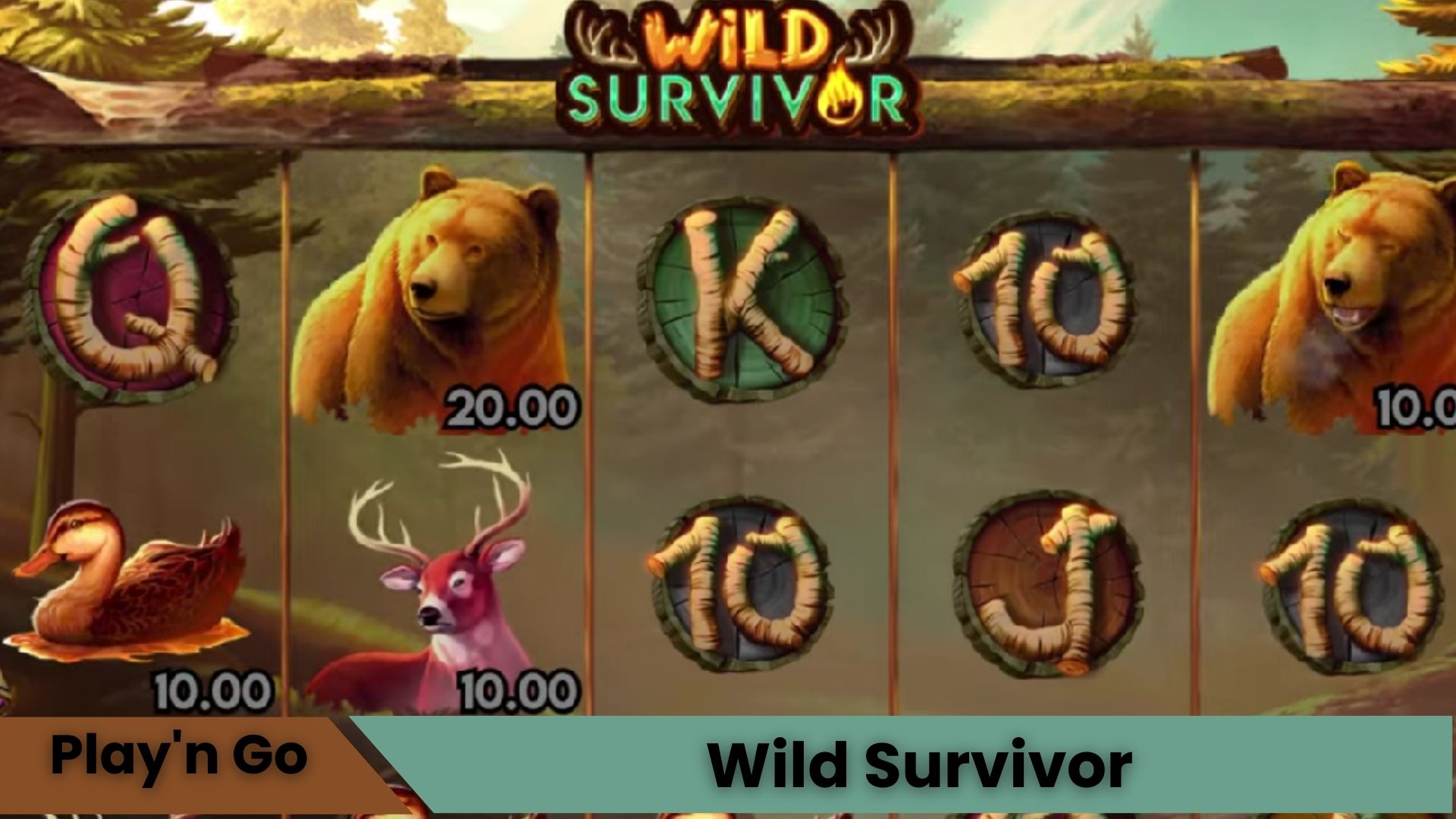 Wild Survivor Oyna